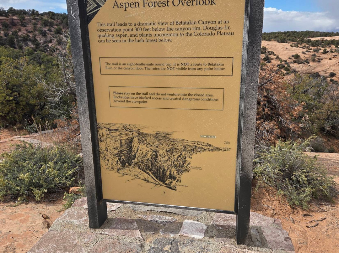 Navajo National Monument-Shonto必去景点