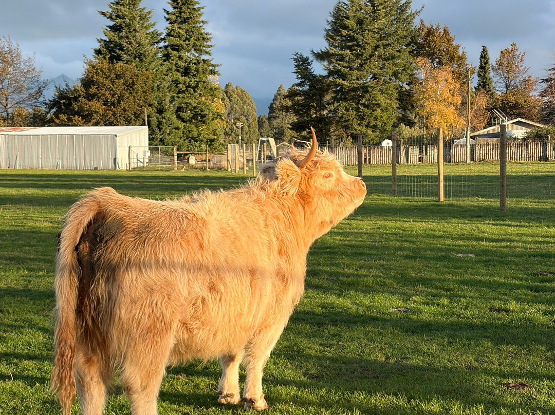 Woodstone Farm, Te Anau, New Zealand-蒂阿瑙必去景点