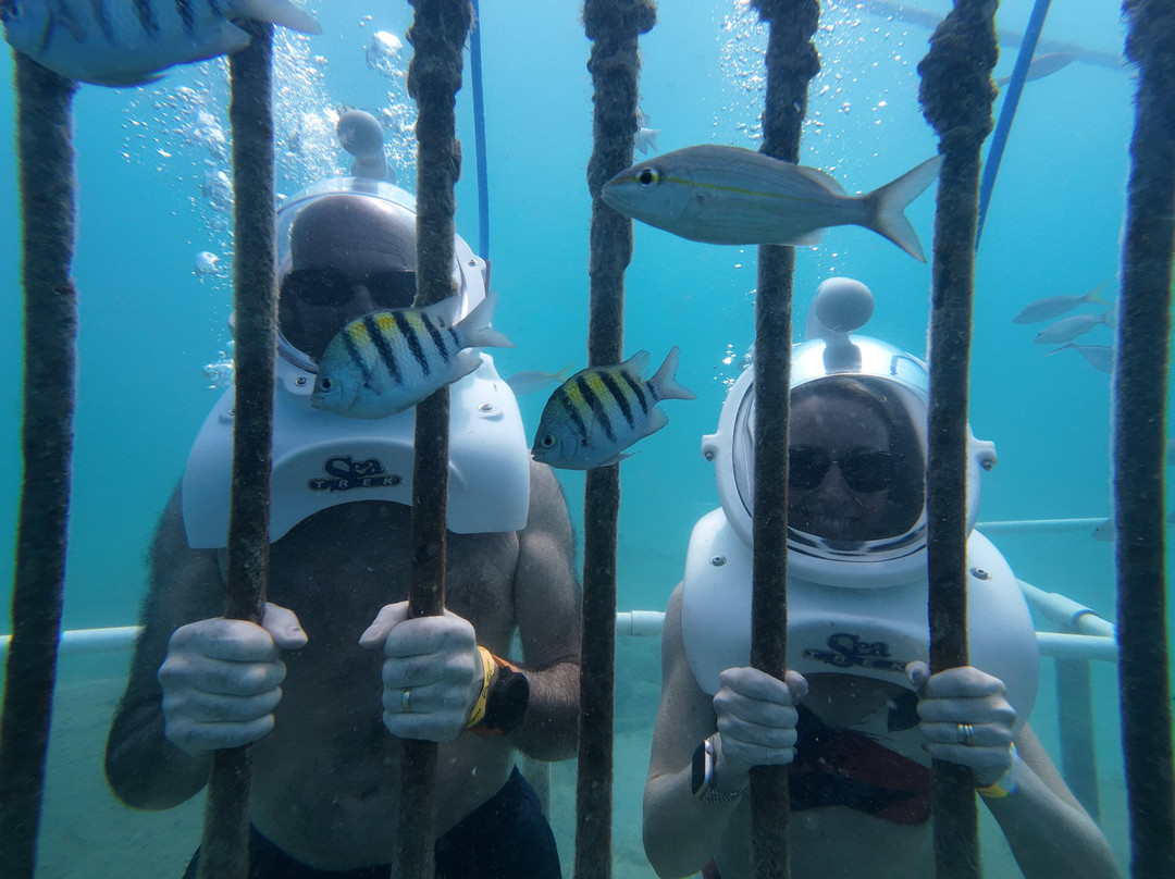 Sea Trek St. Maarten-菲利普斯堡必去景点