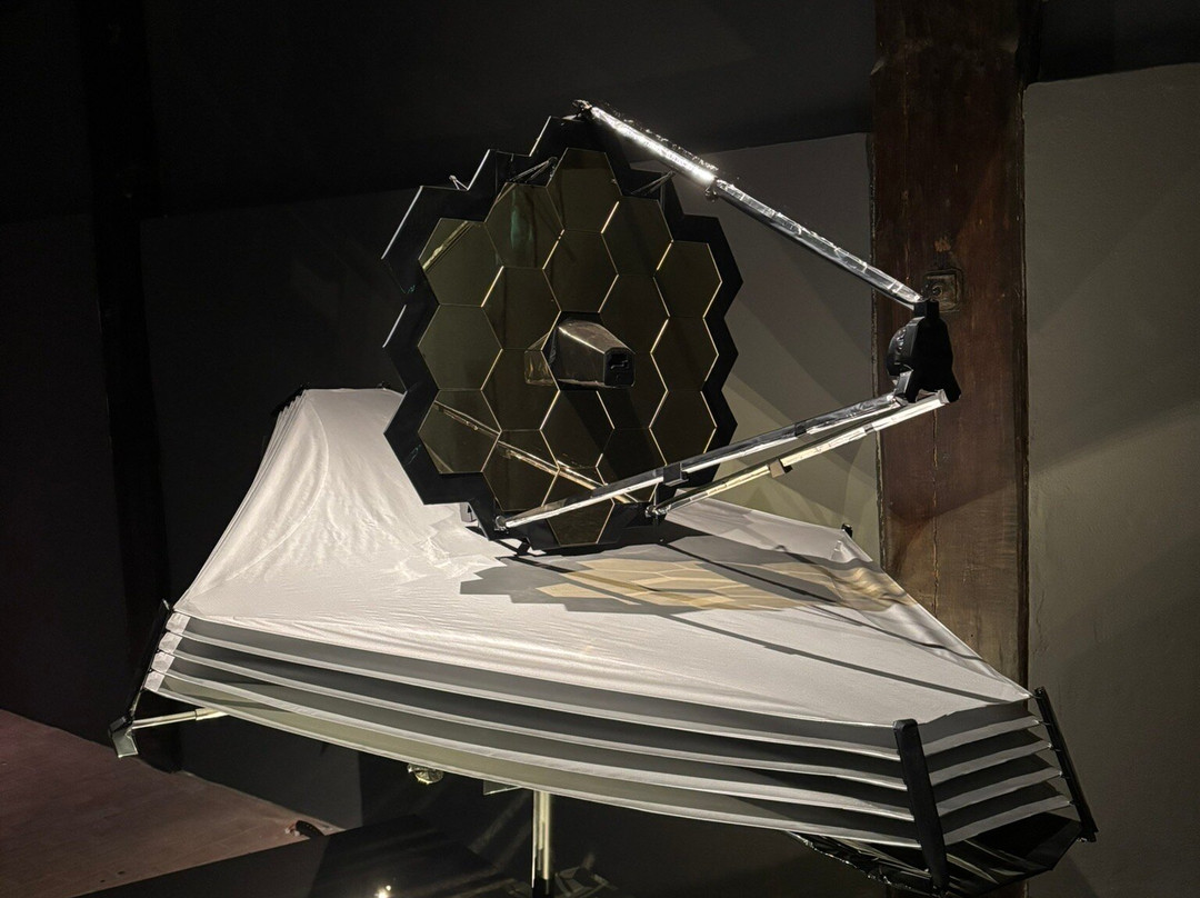 Rijksmuseum Boerhaave-莱顿必去景点