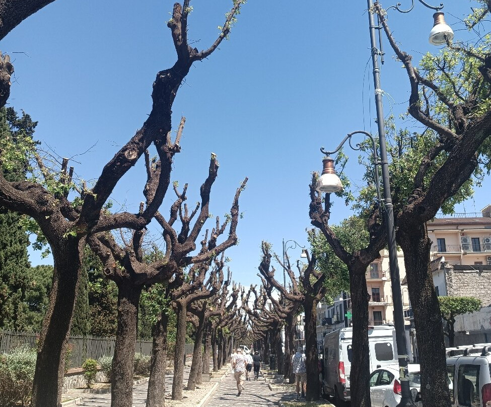 波丝柯德麦地奇度假村及酒庄主图