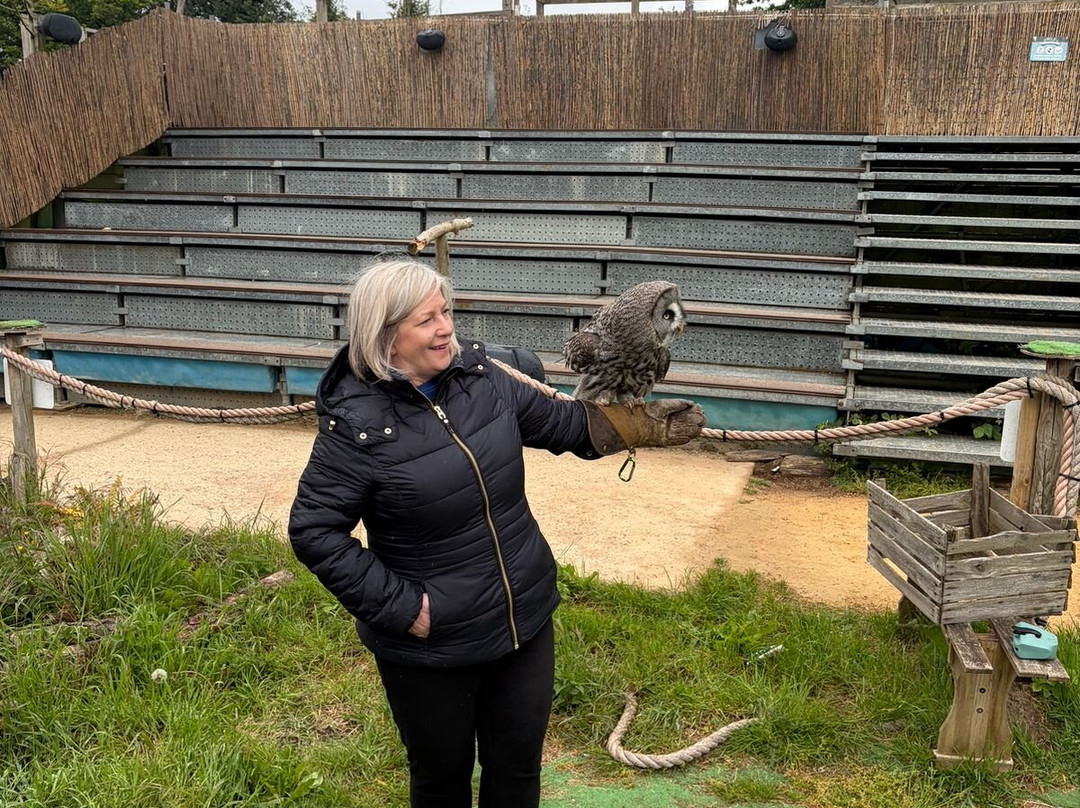 Wild Zoological Park-Bobbington必去景点