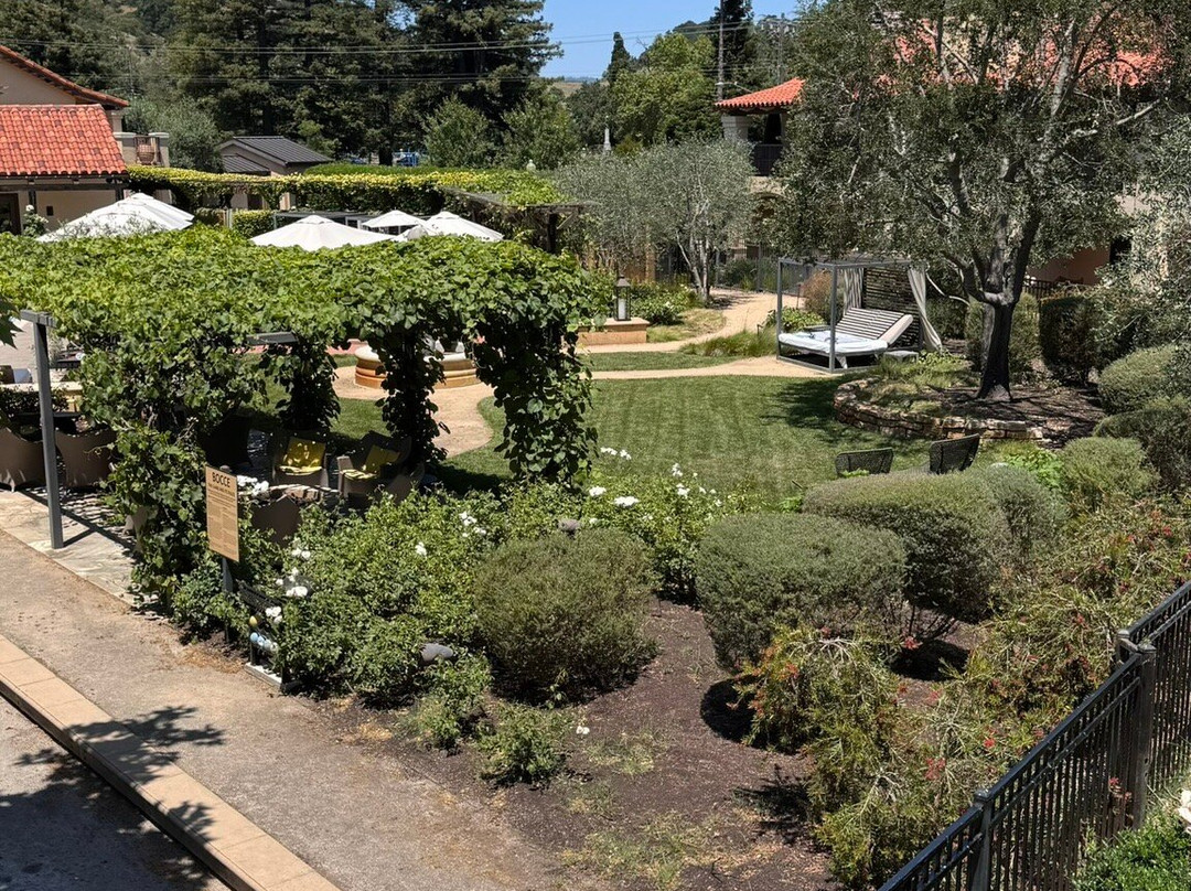 纳帕谷小屋酒店主图