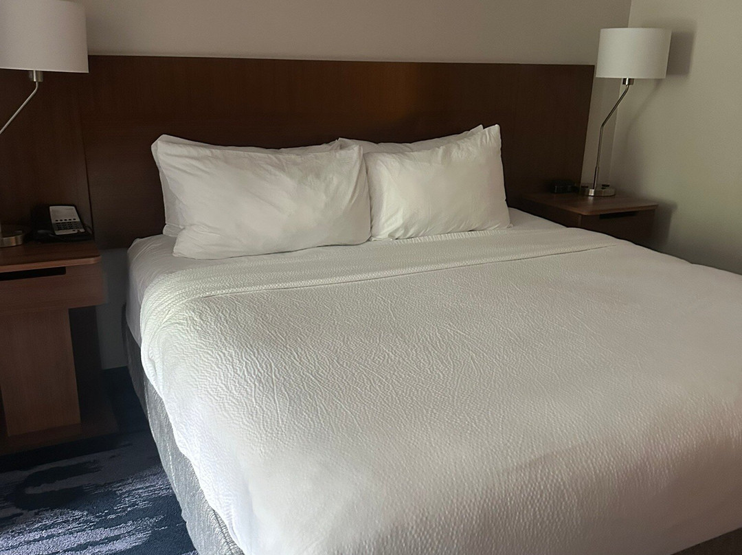 Fairfield Inn & Suites Atlanta Lithia Springs主图