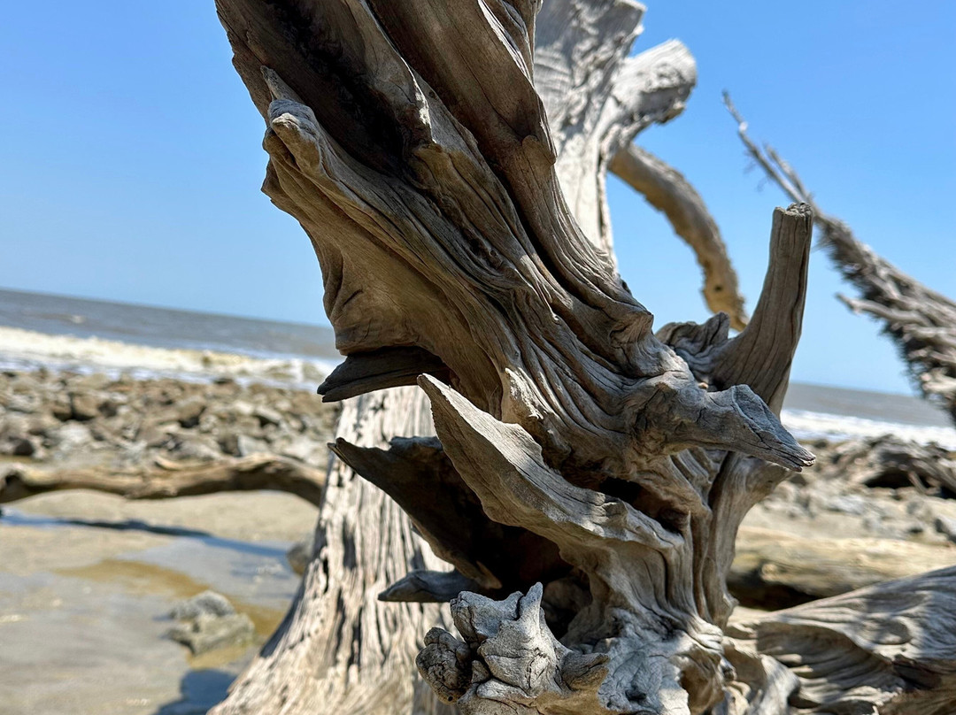 Driftwood Beach-吉柯岛必去景点