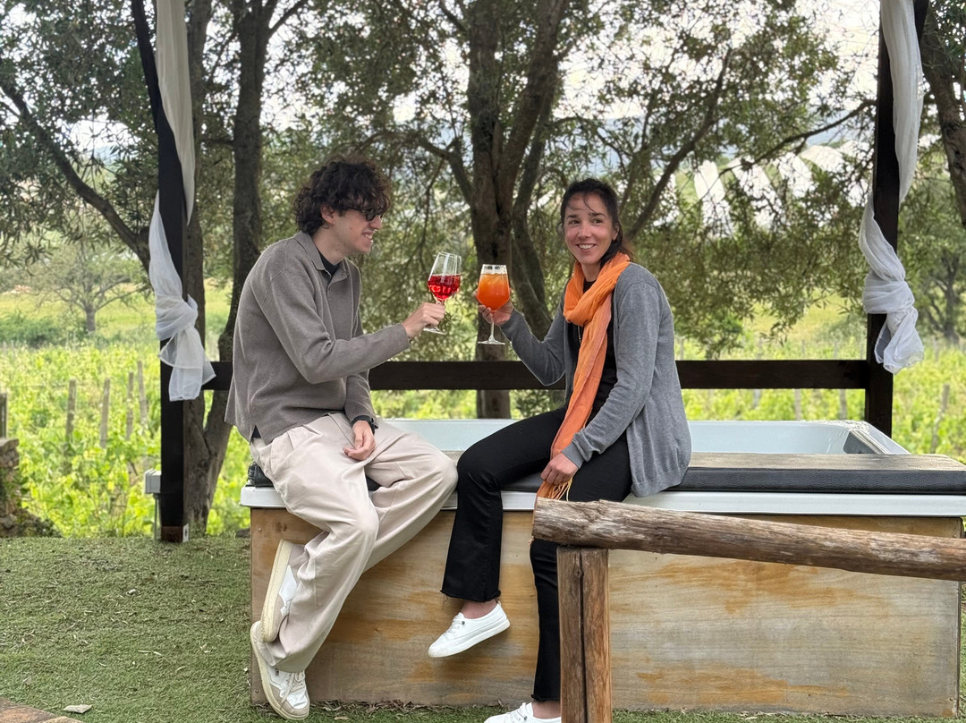 托斯卡纳农庄桑椹山丘主图