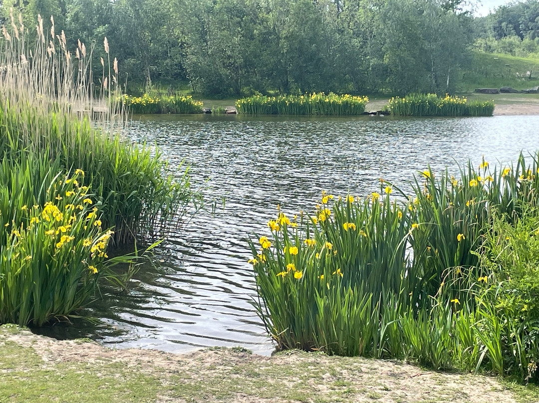 Watergate Forest Park-盖茨黑德必去景点
