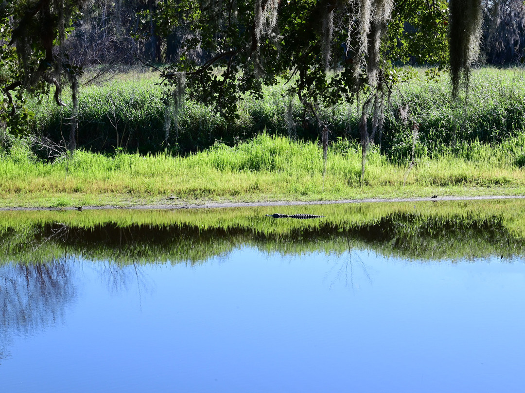 Myakka River State Park-萨拉索塔必去景点