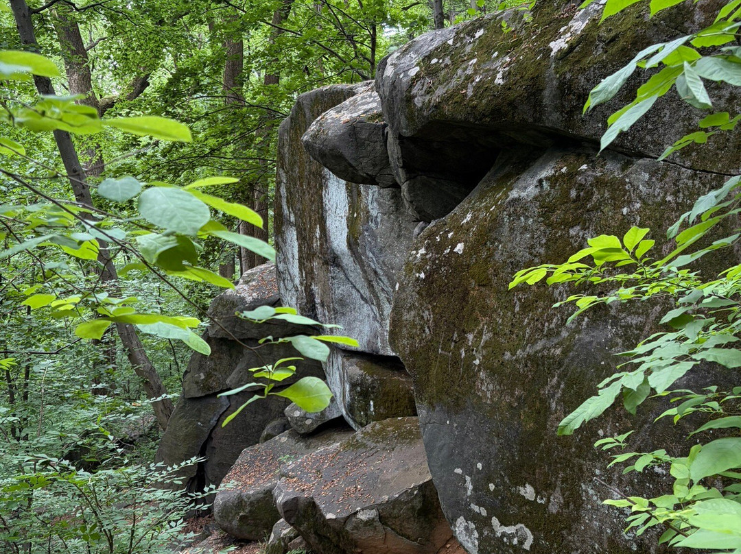Sourland Mountain Preserve-希尔斯伯勒必去景点