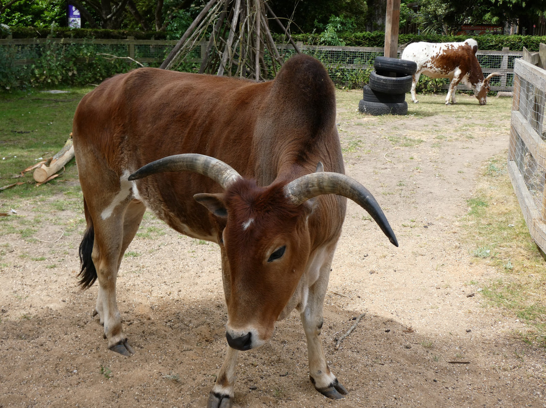 Banham Zoo-Banham必去景点