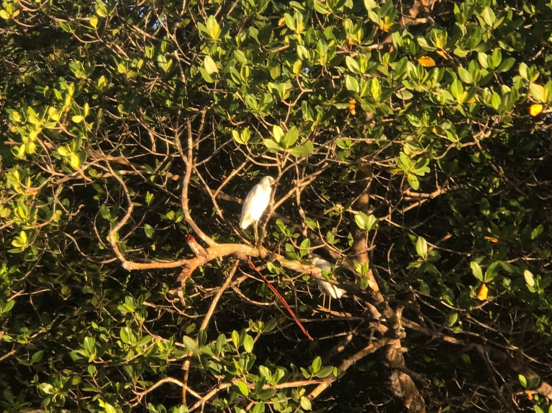 Ecomar Boipeba Ecoturismo Marinho-Ilha de Boipeba必去景点