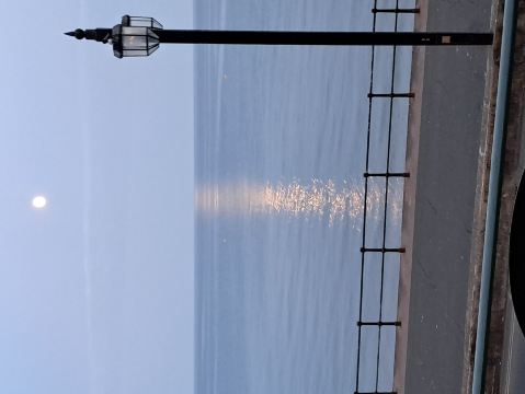 伊丽莎白酒店-旅行者