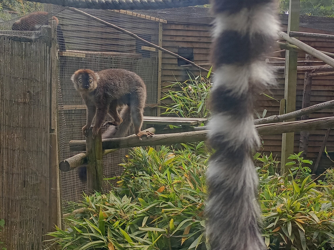 Hemsley Conservation Centre-Fairseat必去景点