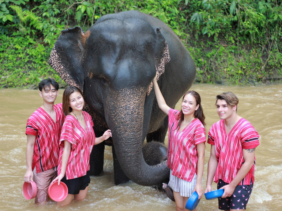 Karen Hilltribe Elephant Sanctuary-Mae Win必去景点