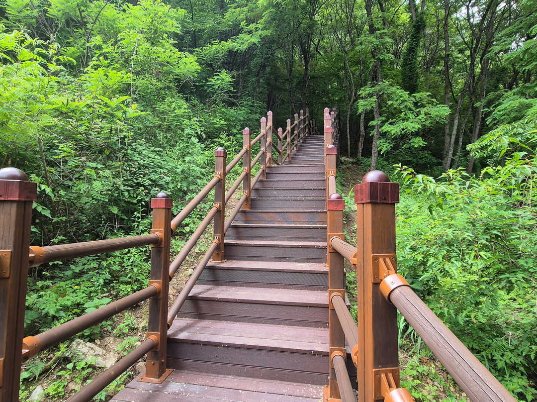 Ondal Gwangwangji-丹阳郡必去景点