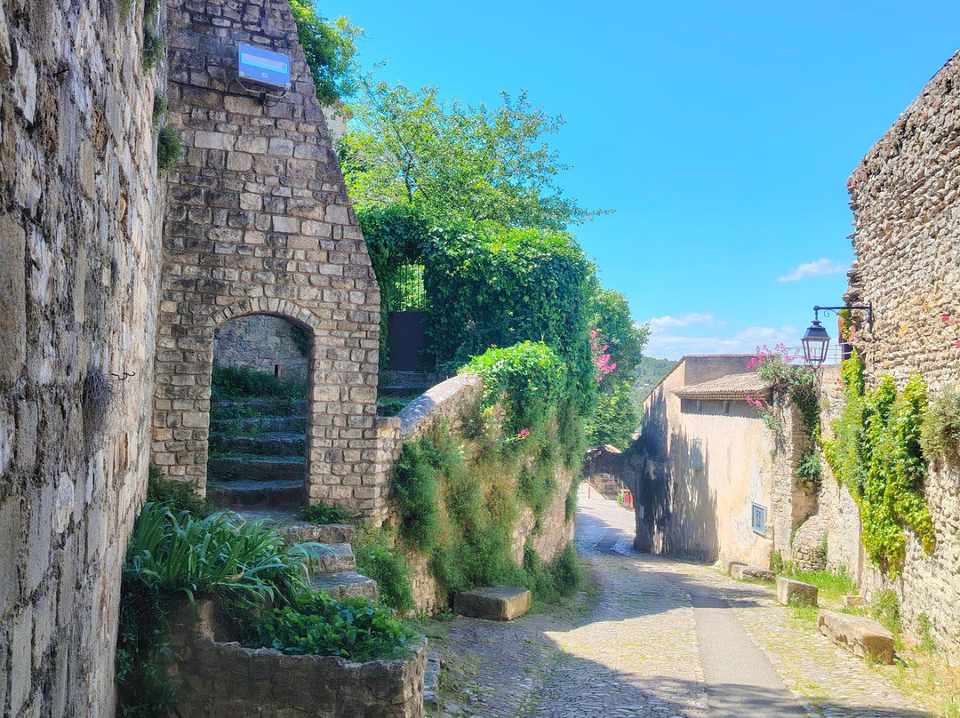 Vaison la Romaine-韦松拉罗迈纳必去景点