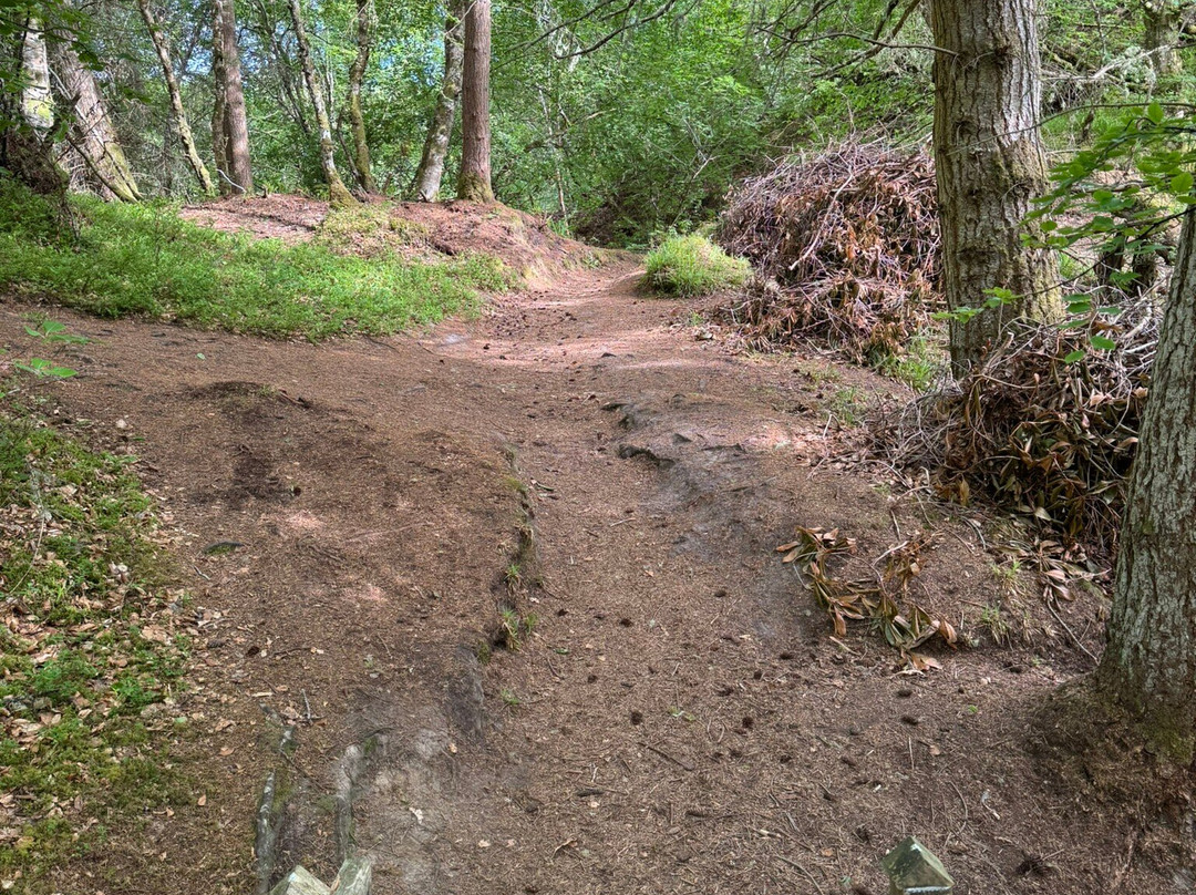 Big Burn Walk-Golspie必去景点