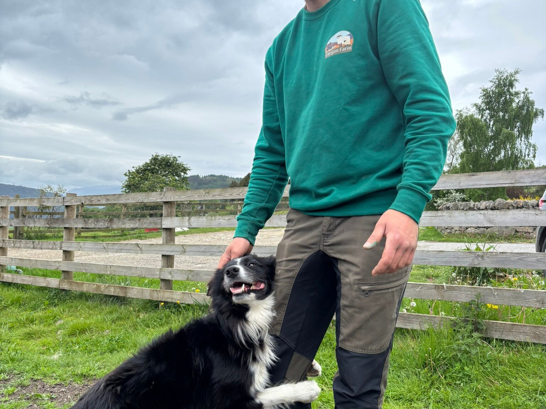 Lurgan Farm-Aberfeldy必去景点
