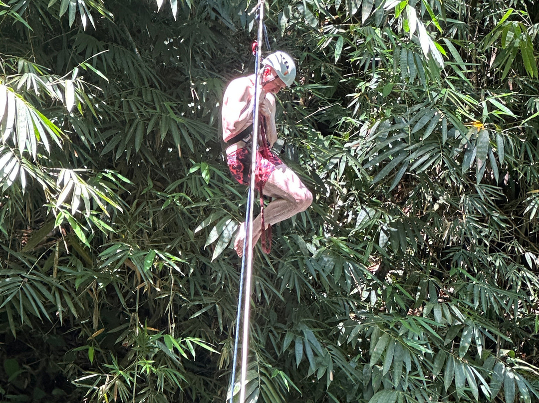 Uvita Paradise Adventures ( Zip Line)-乌维塔必去景点