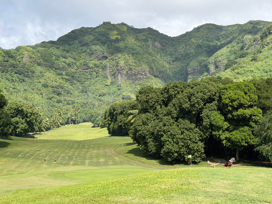 Moorea Green Pearl Golf Course-莫雷阿岛必去景点