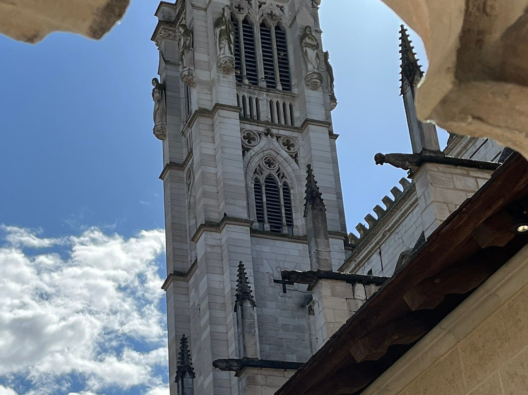 Cathédrale Saint Vincent-索恩河畔沙隆必去景点