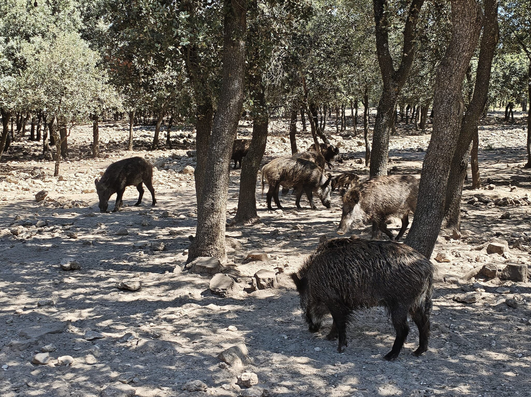 Bodegas Arzuaga Navarro-Quintanilla de Onesimo必去景点