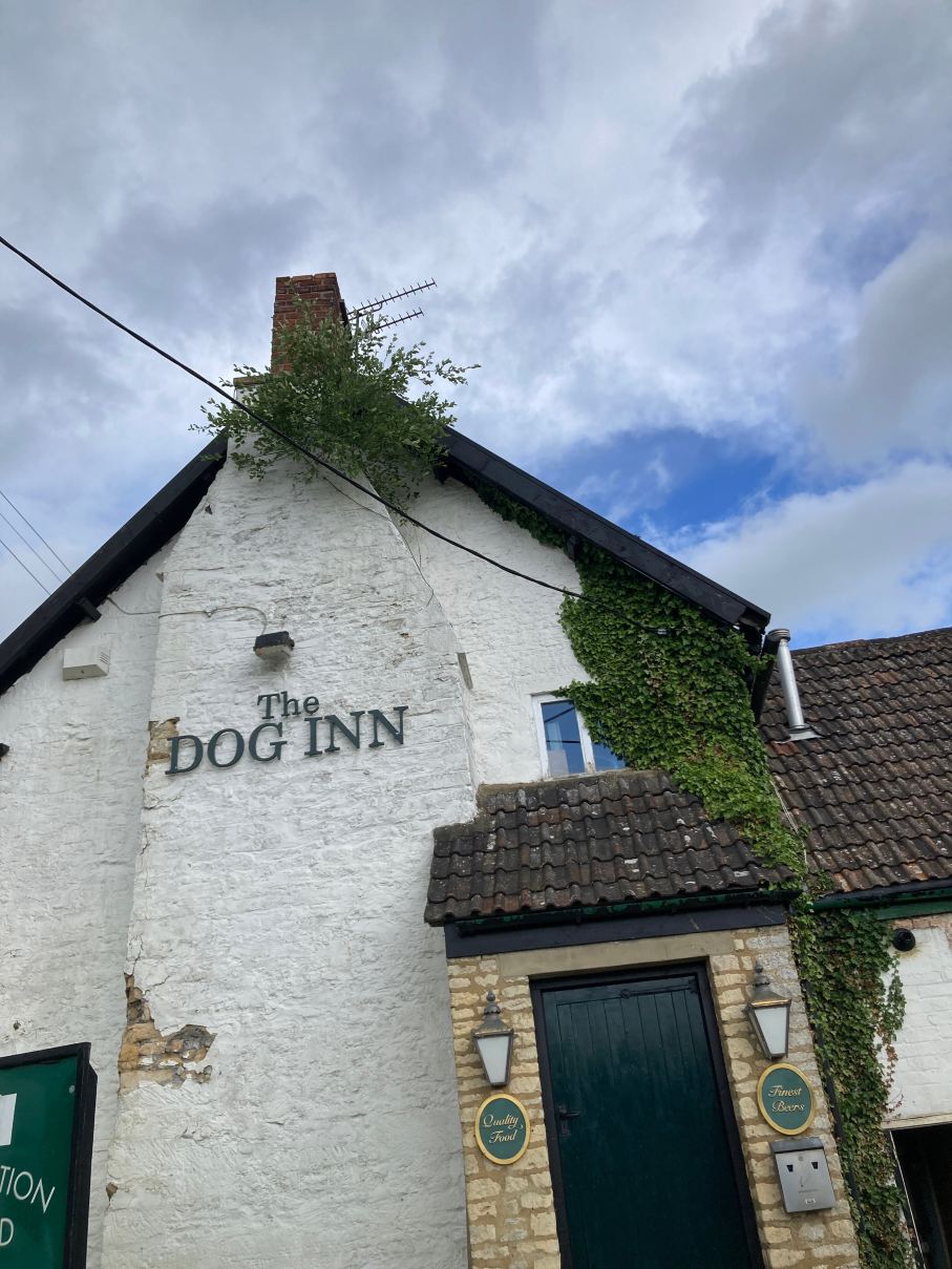 The Dog Inn-旅行者