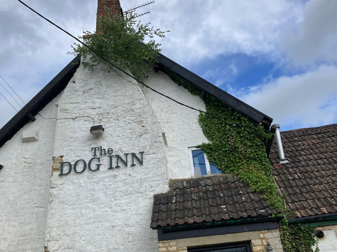 The Dog Inn主图