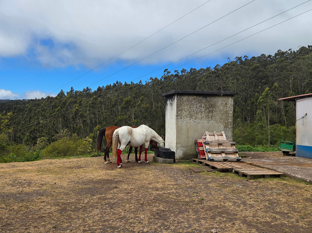 Equine Village by Quinta do Riacho-Santo da Serra必去景点
