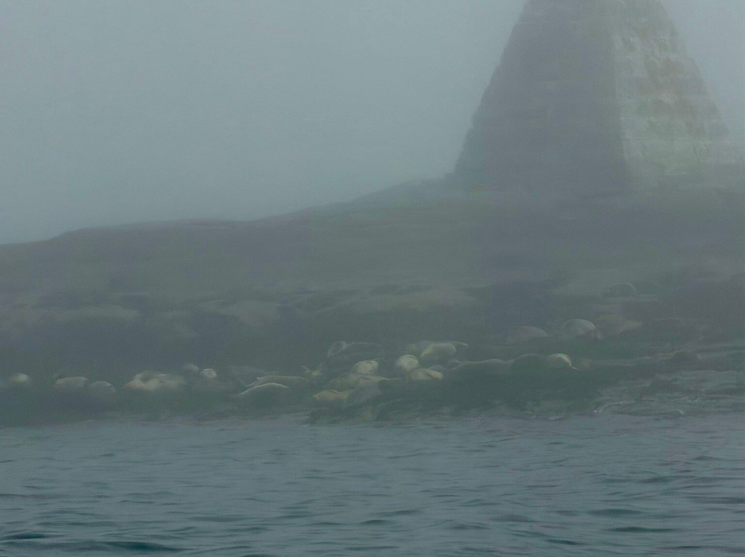 Sea Princess Cruises-Mount Desert必去景点