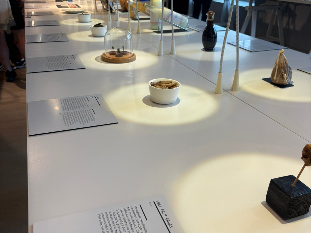 Disgusting Food Museum-马尔默必去景点
