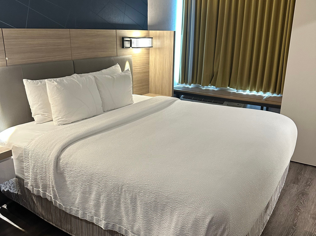 塔什霍韦斯特切斯特县万豪SpringHill Suites酒店主图