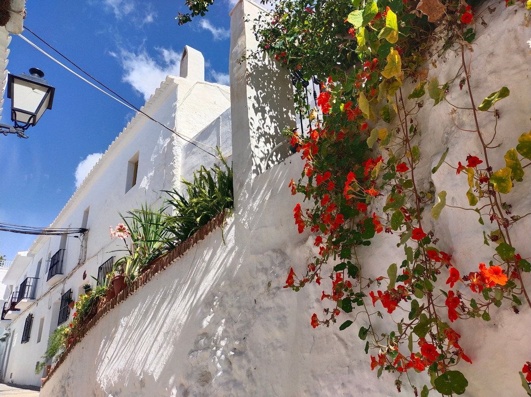 Tour Guide in Granada-格拉纳达必去景点