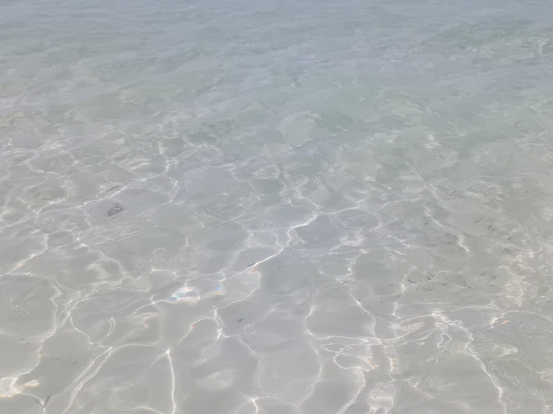 Platja d'es Trenc-Campos必去景点