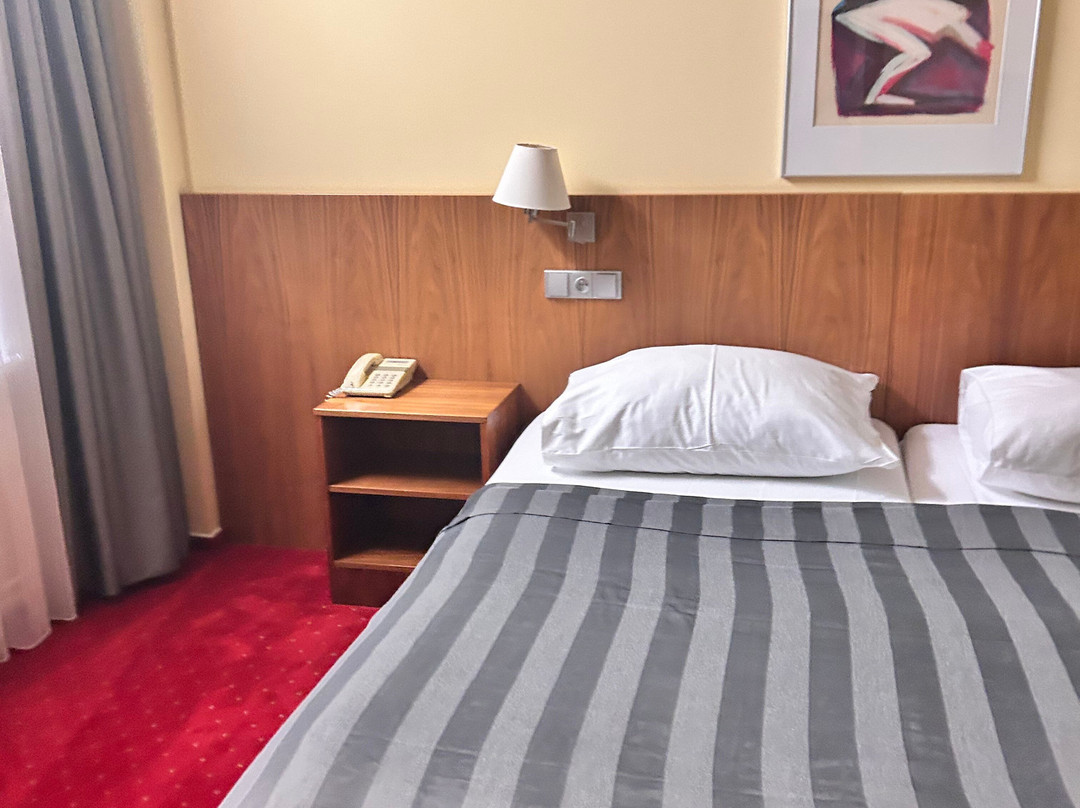 Hotel Jana Congress & Wellness主图