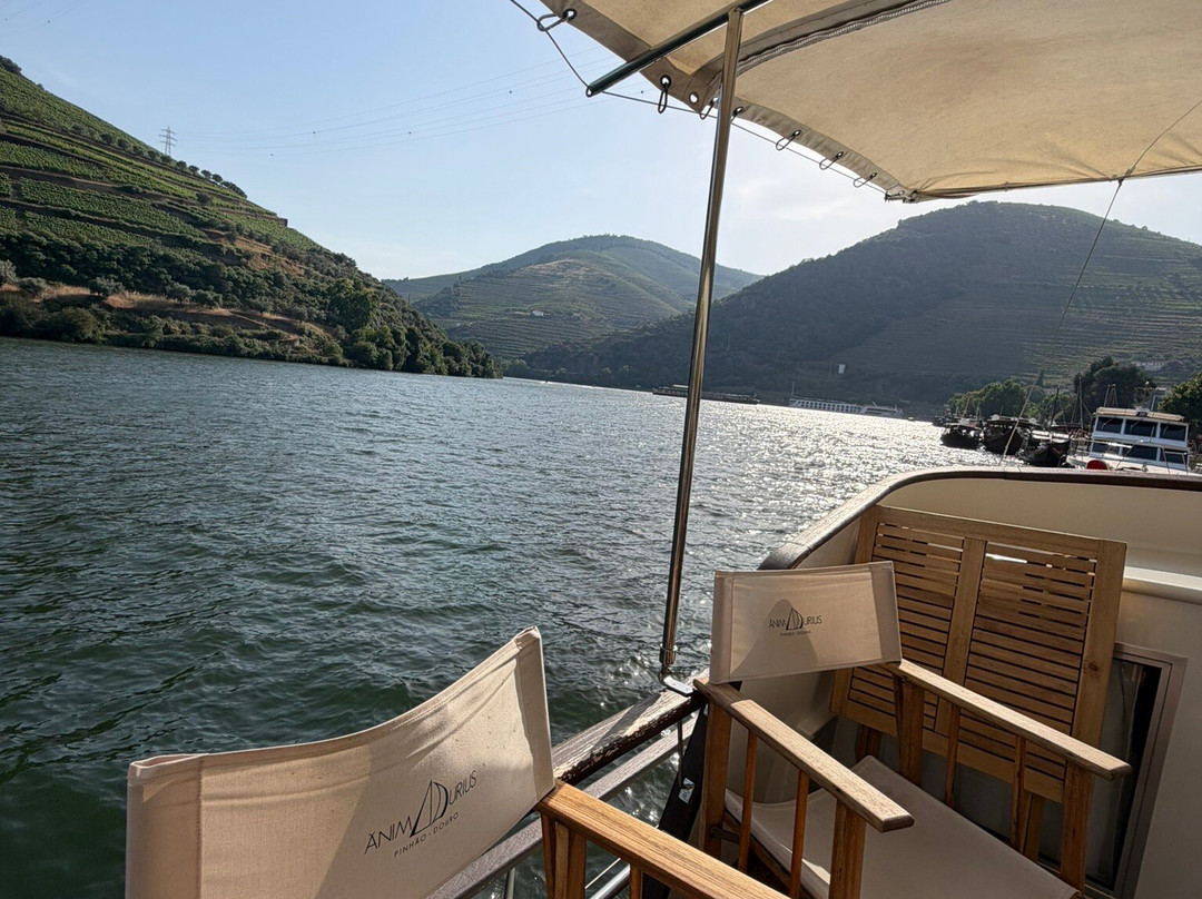 Anima Durius Douro River Cruises-Pinhao必去景点