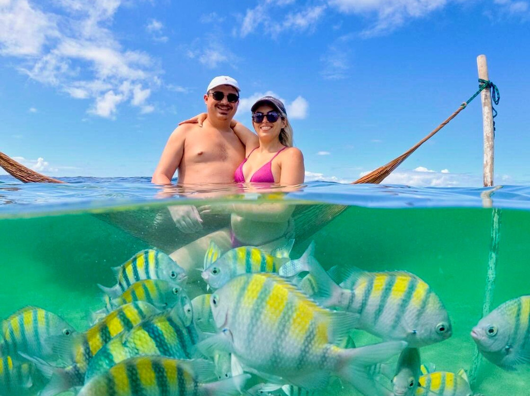 Piscinas Naturais De Pajucara-Maceio必去景点
