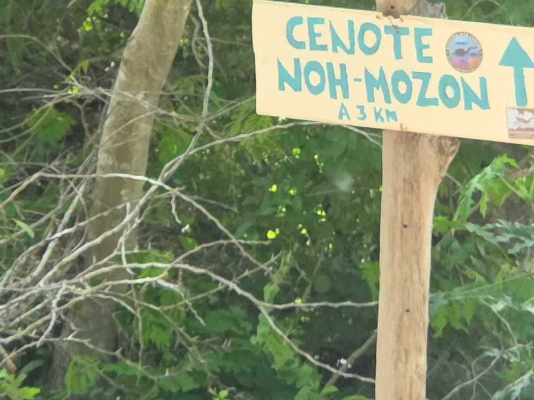 YucatanCenote .com Eco-Adventures-Progreso必去景点