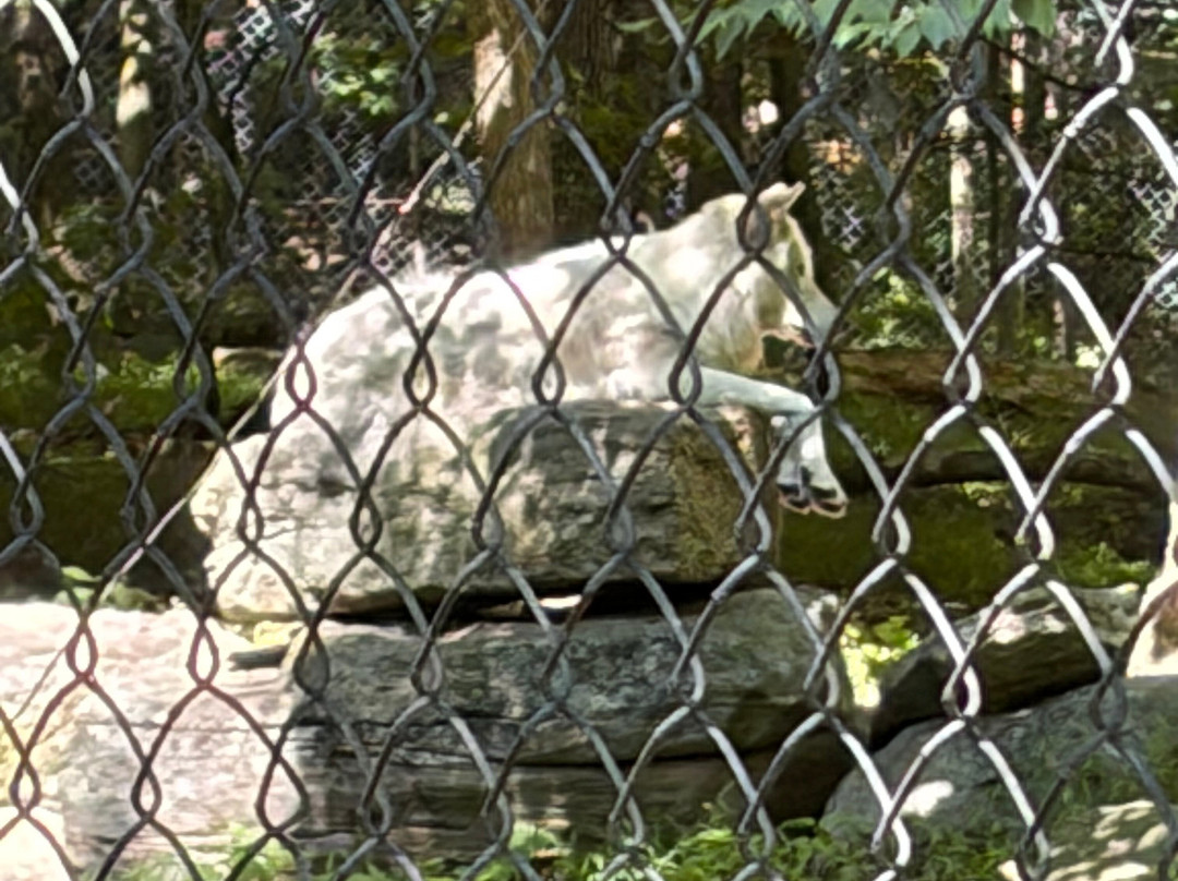 Lakota Wolf Preserve-Columbia必去景点