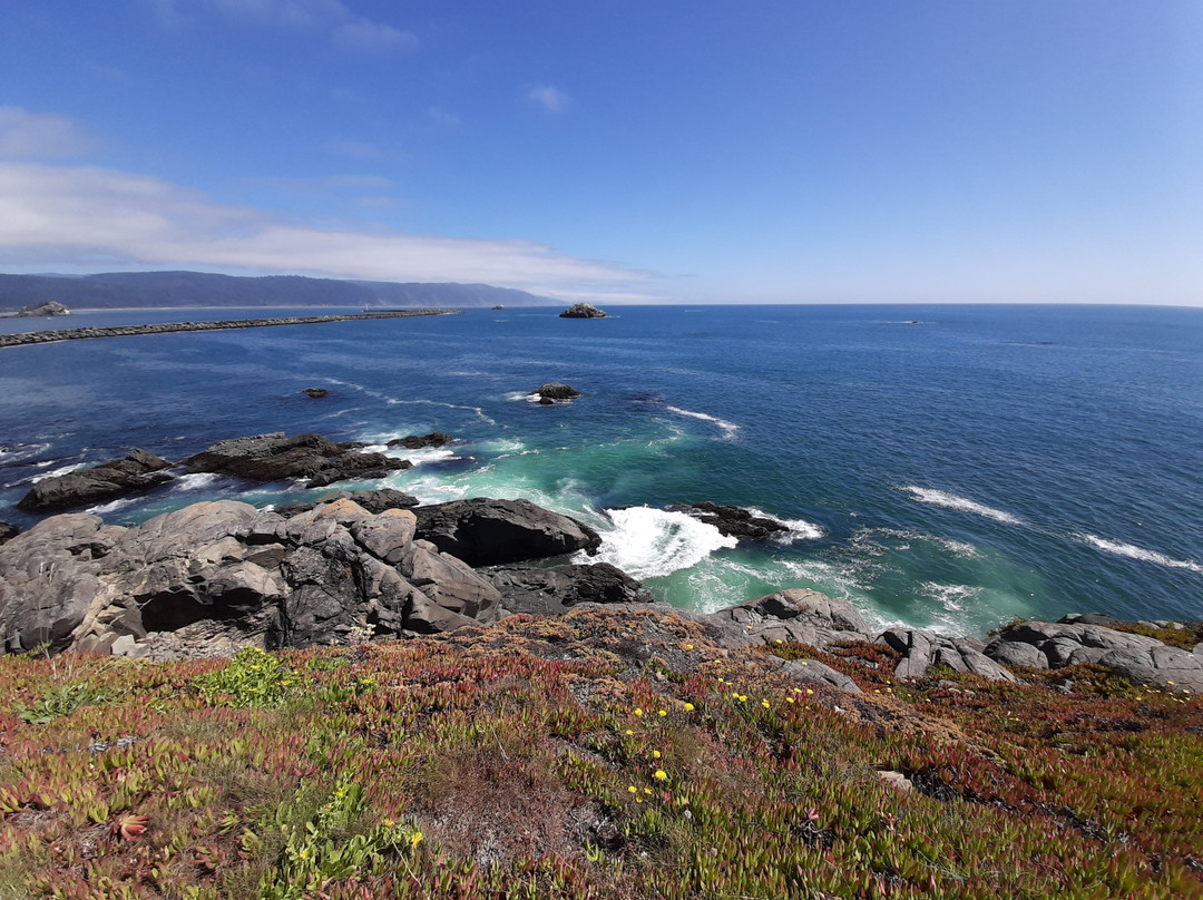 Cape Spear Lighthouse National Historic Site-圣约翰必去景点