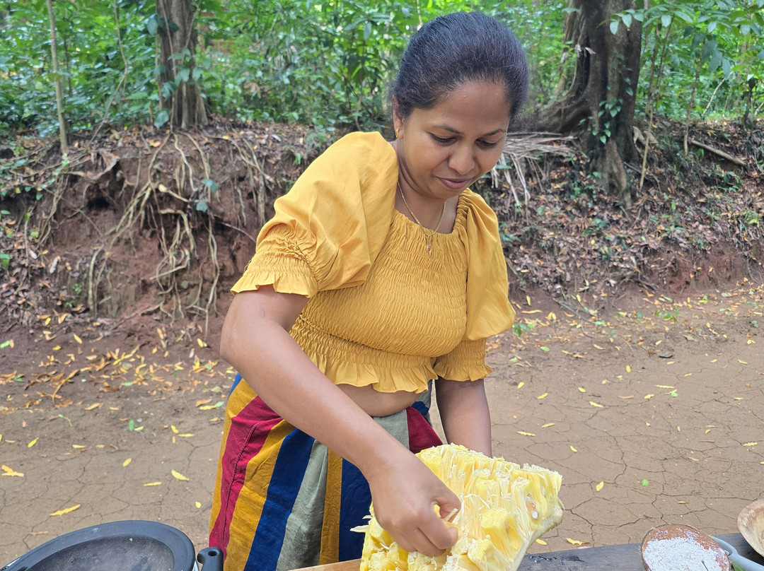 Srilankan Experience Zone-Kundasale必去景点