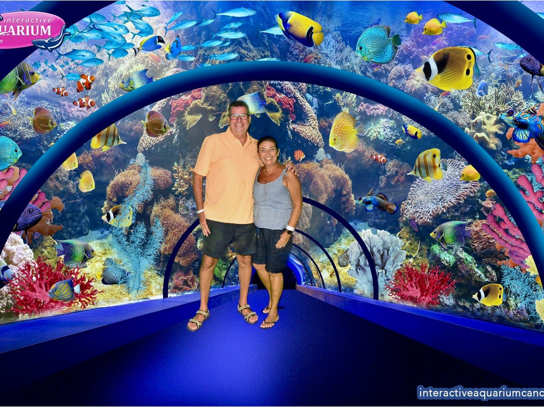 互动式水族馆-坎昆必去景点