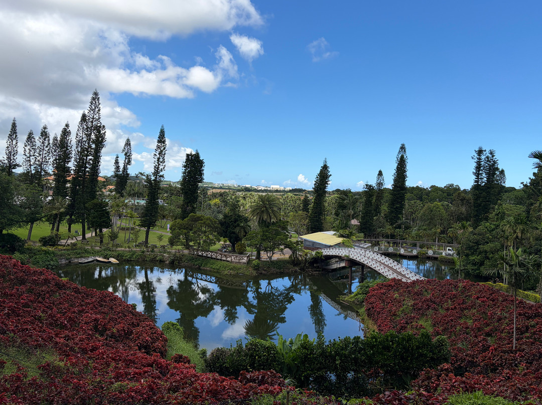 东南植物乐园-冲绳市必去景点