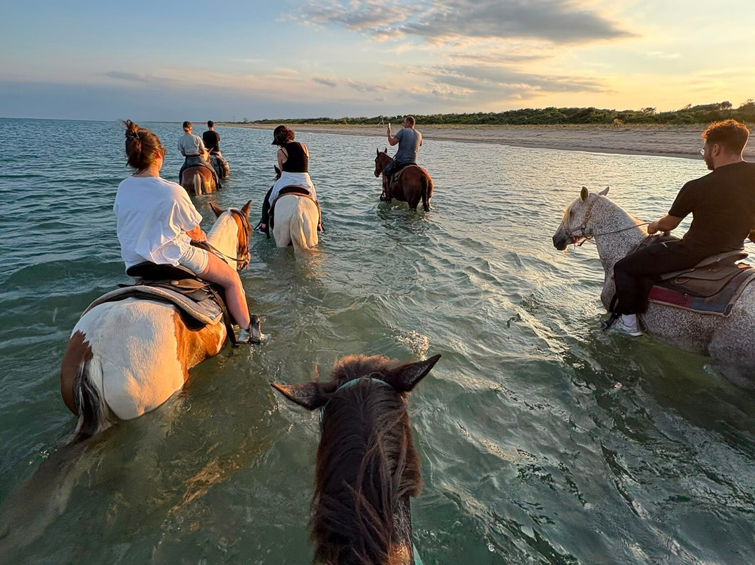 Family Horses 373-5361953-Marina di Ginosa必去景点