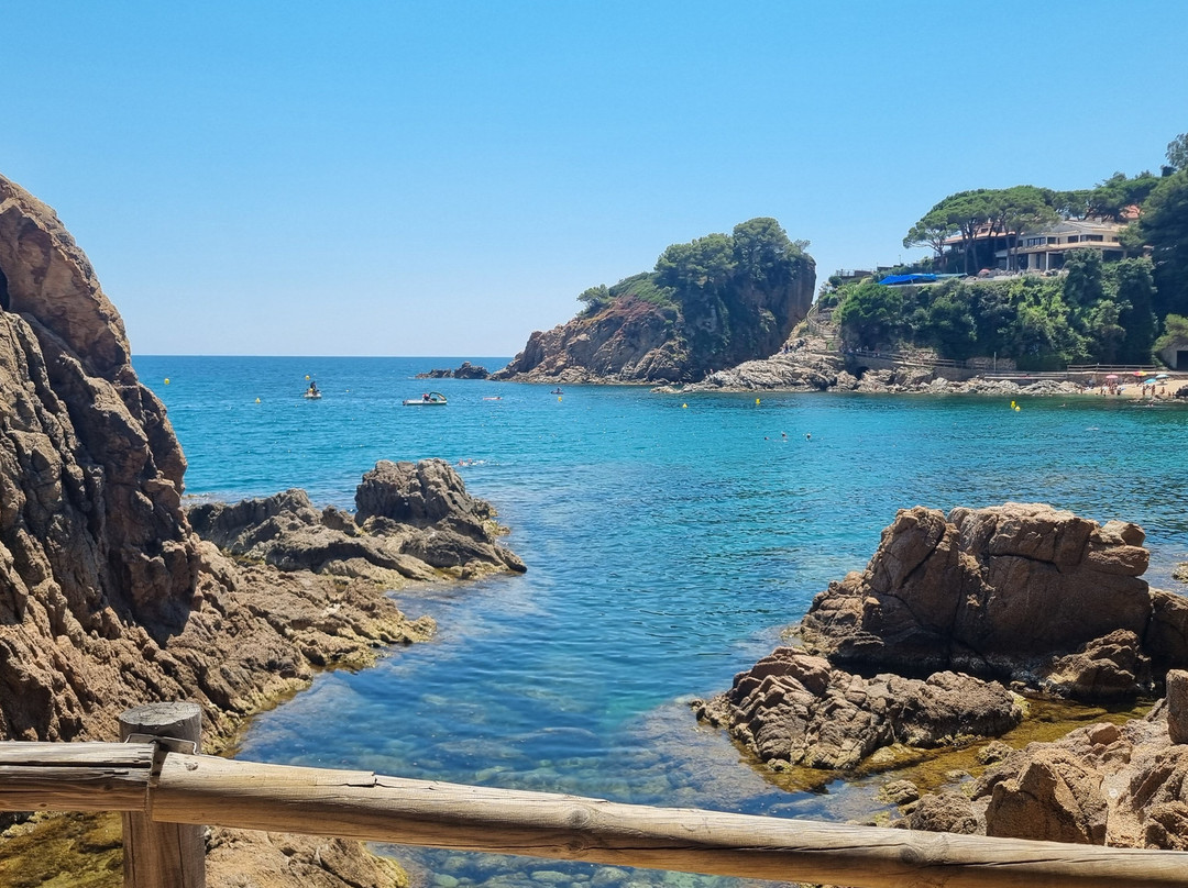 Cala de Sant Francesc-布拉内斯必去景点