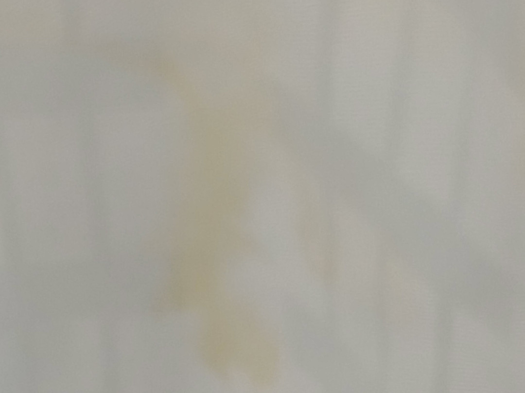 舒适套房酒店-佩里斯堡托莱多南主图