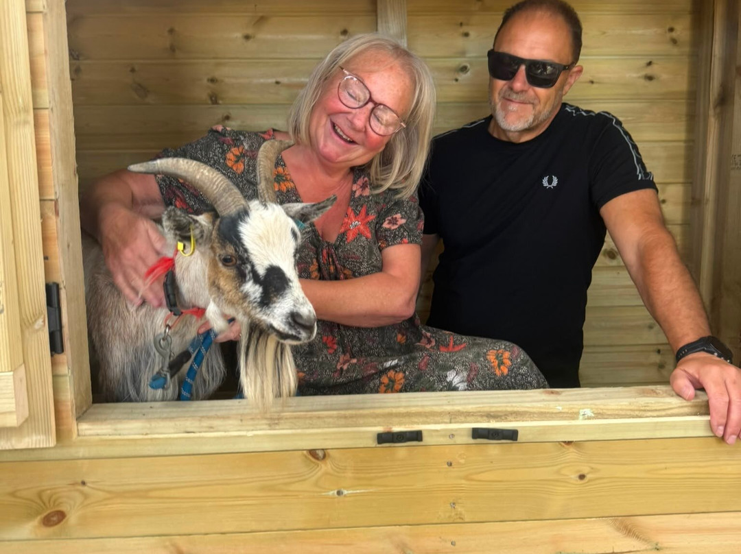 Walking the goats at Lower Coates-巴恩斯利必去景点