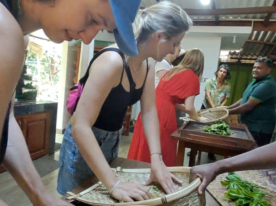 Ella Organic Tea Garden-Heeloya必去景点