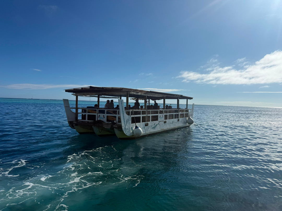 Moorea Seafari Cruises-Paopao必去景点