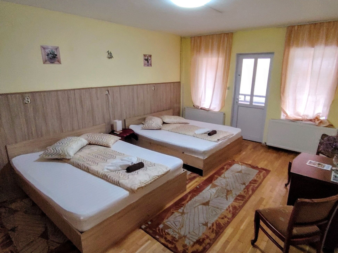 Casa Tudor Turda主图